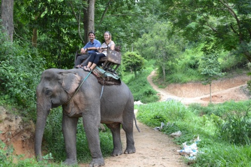 Mike's Pick - Elephant Reserve - Chiang Mai, Thailand