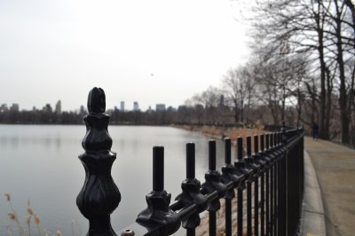 Central Park